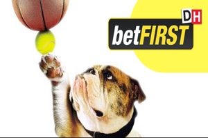 publicité betfirst lucky chien basket tennis